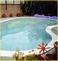 swimming pool photo by Viggo Mortensen, Juxtapos #19