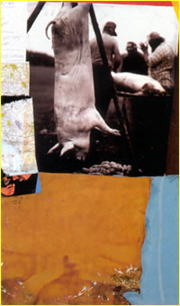 photo of slaughtered pig, by Viggo Mortensen, Juxtapos #19