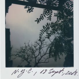 Polaroid by Viggo Mortensen - NYC Sept 2018