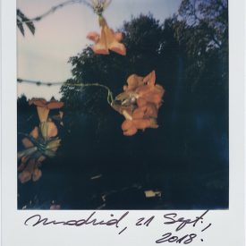 Polaroid by Viggo Mortensen - Madrid Sept 2018