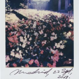 Polaroid by Viggo Mortensen - Madrid Sept 2018