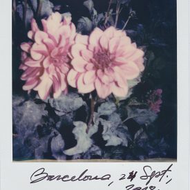 Polaroid by Viggo Mortensen - Barcelona Sept 2018