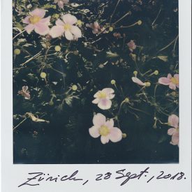 Polaroid by Viggo Mortensen - Zurich Sept 2018