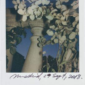 Polaroid by Viggo Mortensen - Madrid Sept 2018