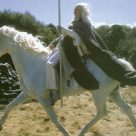 Shadowfax Rider Shadowfax, Chieftain of the Mearas | Brego.net