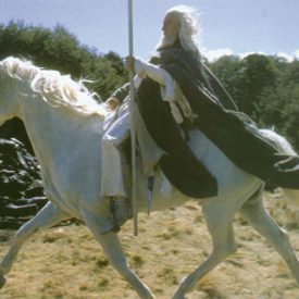 Gandalf's stunt double riding Shadowfax