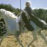 Shadowfax Rider Shadowfax, Chieftain of the Mearas | Brego.net