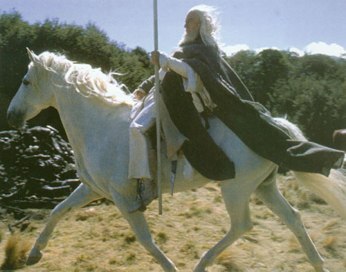 Shadowfax, Chieftain of the Mearas | Brego.net