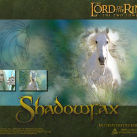 wallpaper for Shadowfax in The Lord of the Rings