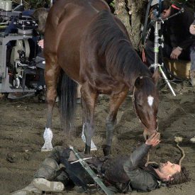 teaching Brego to lie down next to Aragorn (Viggo Mortensen)