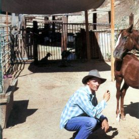 Viggo Mortensen with mare & foal, by Terry Richardson (i-D 2003)